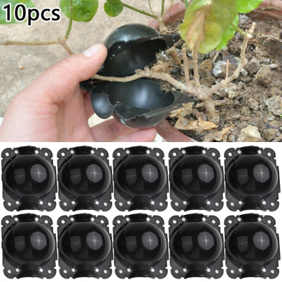 10pcs-Plant-Rooting-Equipment-High-Pressure-Propagation-Ball-Graft-Box-Breeding-Case-For-Garden-Graft-Box.jpeg